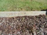image of grave number 582976